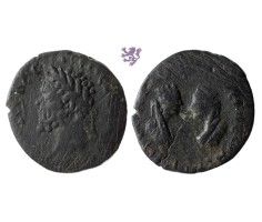 Septimius Severus, Samosata