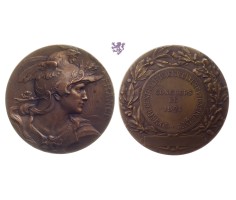 Medalja 1921.  Francuska